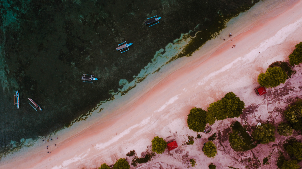The Ultimate Guide to Pink Beach