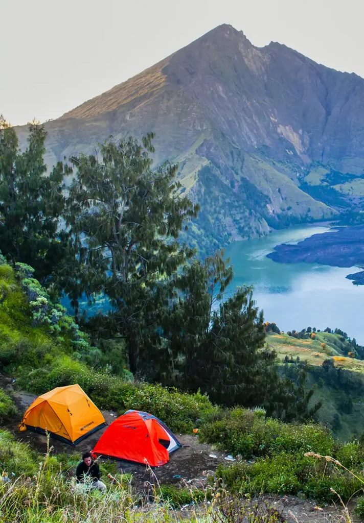 Camp under the stars in Sembalun