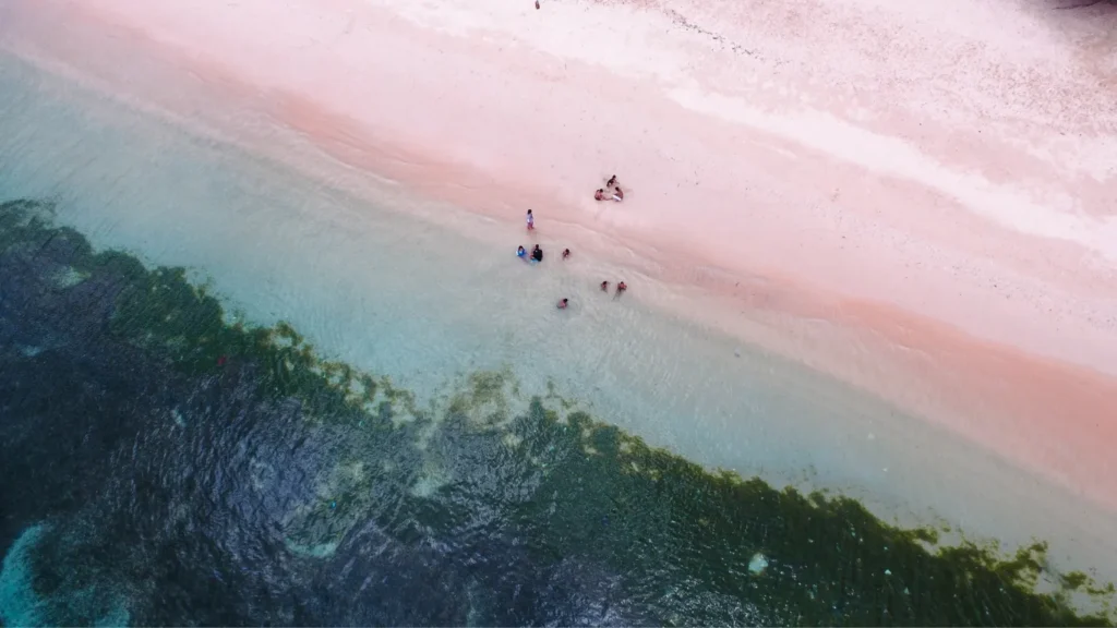 Swimming, Snorkeling & Kayaking